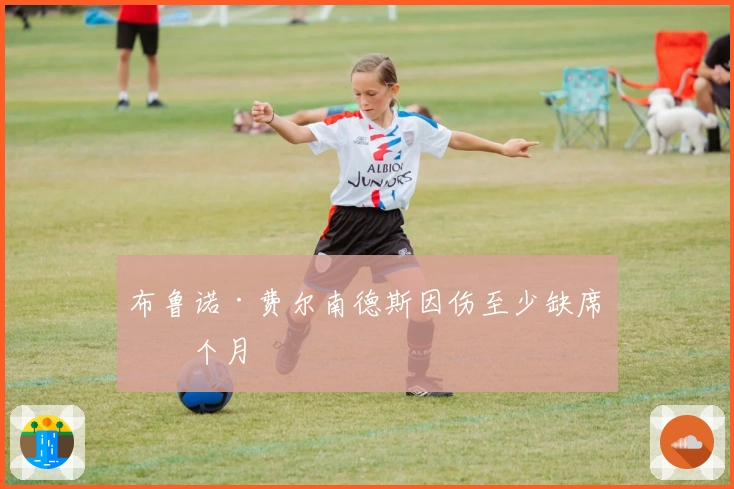 布鲁诺·费尔南德斯因伤至少缺席一个月